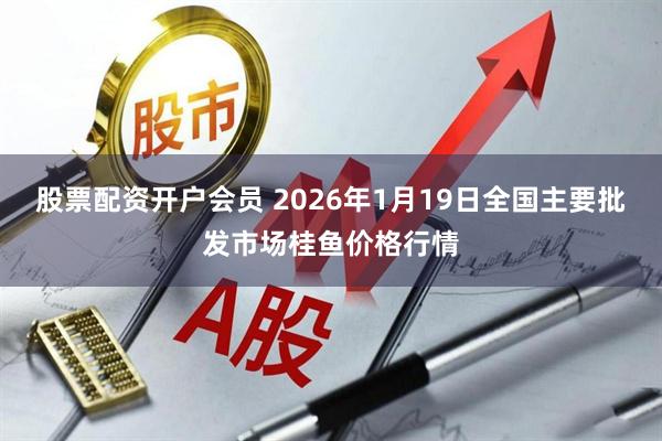 股票配资开户会员 2026年1月19日全国主要批发市场桂鱼价格行情
