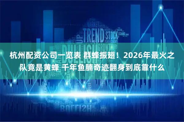 杭州配资公司一览表 群蜂振翅！2026年最火之队竟是黄蜂 千年鱼腩奇迹翻身到底靠什么