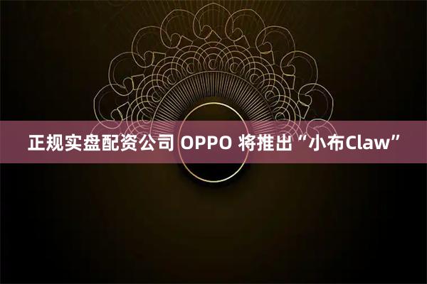 正规实盘配资公司 OPPO 将推出“小布Claw”