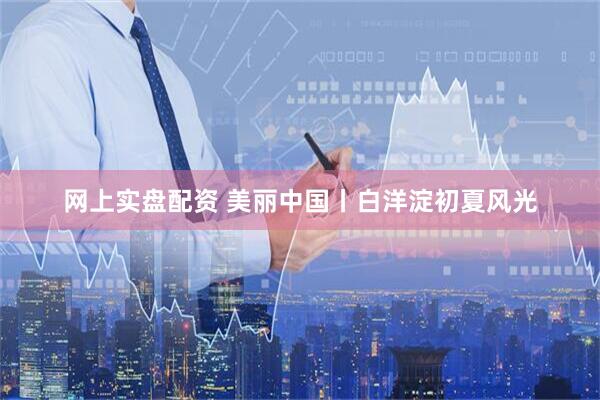 网上实盘配资 美丽中国丨白洋淀初夏风光